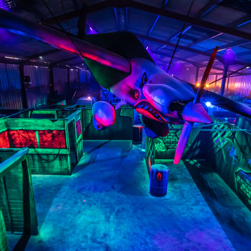 Laser Game